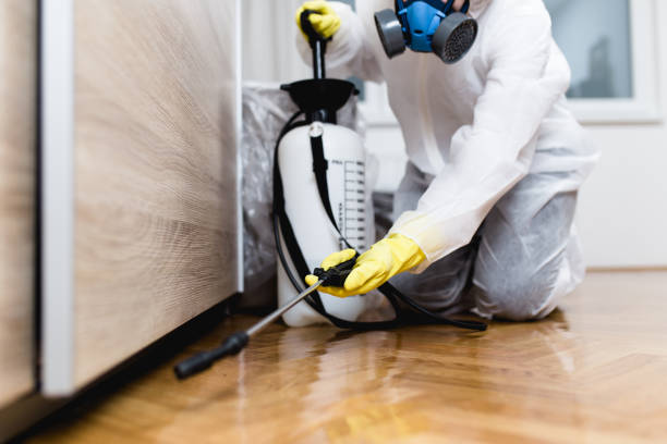 Best Pest Prevention Services  in Wacousta, MI