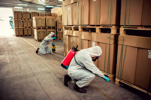 Best Flea Control Services  in Wacousta, MI