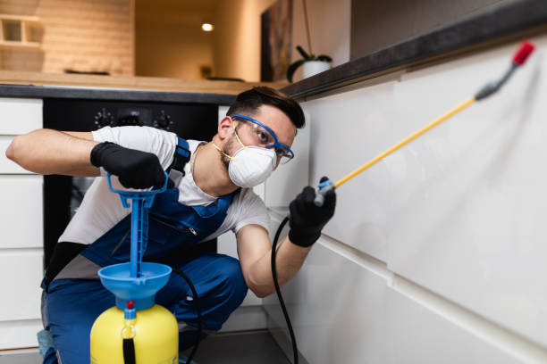 Best Wasp Removal Services  in Wacousta, MI