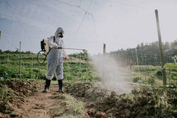Best Commercial Pest Control Services  in Wacousta, MI
