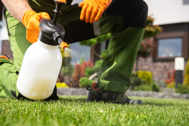 Best Exterminator Services  in Wacousta, MI