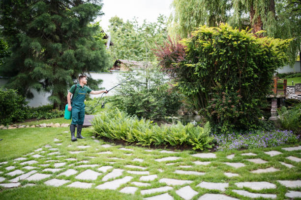Best Affordable Pest Control Services  in Wacousta, MI