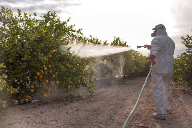 Best Best Pest Control Companies  in Wacousta, MI