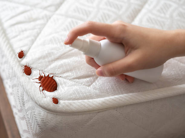 Best Bed Bug Extermination  in Wacousta, MI