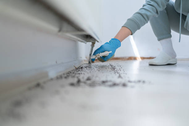 Best Best Pest Control Companies  in Wacousta, MI